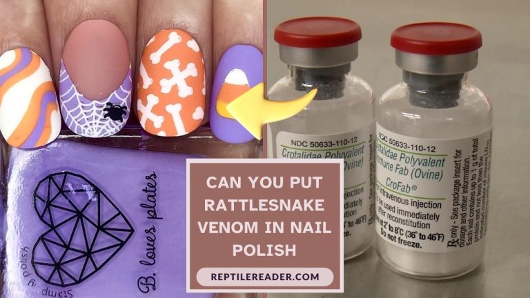 Can You Put Rattlesnake Venom in Nail Polish